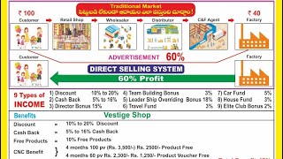 Vestige New Update business plan