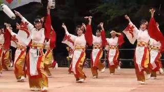 西山舞らんかい  原宿表参道スーパーよさこい2016