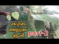 #Bush #pepper #cultivation in kerala(part-2)/#kutti #kurumulaku #krishi #malayalam