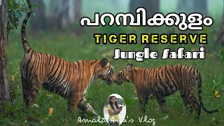 parambikulam tiger reserve | forest safari | jungle safari കടുവയെ കാണാൻ വീണ്ടും കാട്ടിലേക്ക്