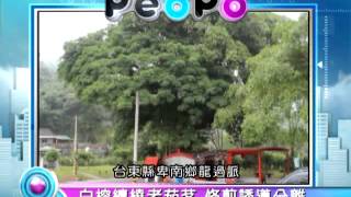 2013年5月22日PeoPo公民新聞報