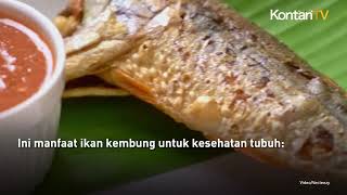 Ini 4 Manfaat Ikan Kembung yang Kaya Gizi