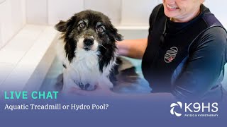 Canine Hydrotherapy: Aquatic Treadmill + Hydro Pool