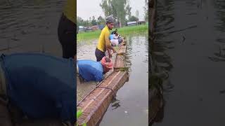 Most Unique Fishing Culture In Village | মাছ ধরার মাথা নষ্ট কৌশল#shorts