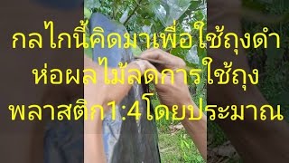 ห่อฝรั่งนวัตกรรมใหม่ถุงดำใช้ห่อฝรั่งได้ประมาณ4ครั้ง