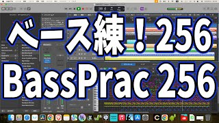 毎日ベース練習256日目：Bass Practice Day 256　#shorts