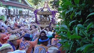 杉山神社例大祭（岸谷）_2の2・町内会渡御～宮入り 2016/08/07