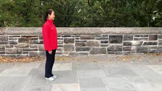 形意拳，崩拳。xingyiquan，bengquan. 李春玲，lichunling