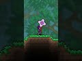 Terraria Polka