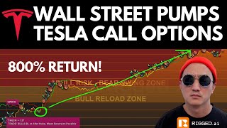 Wall Street Pump's Tesla Call Options 800% - 01/03/25