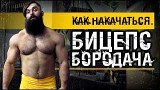 Как накачаться. Бицепс Бородача