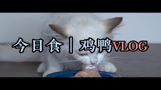 【小奶猫の沉浸式生骨肉吃播】今日食鸡鸭