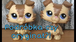 Littlest Pet Shop: Jak odróżnić podróbkę od oryginała? (Collie)