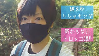 屋久島【縄文杉トレッキング】開始‼終わらないトロッコ道を歩く