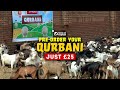 Order Your Qurbani