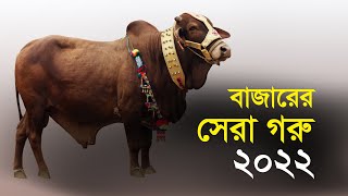 বাজারের সেরা গরু ২০২২....| Bangla Business News | Business Report 2022