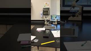 Pendulum lab 30 cm string small weight example