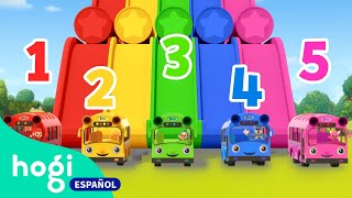 Aprende a contar los autobuses | Números y Colores | LOS NÚMEROS del 1 al 10 | Hogi en español
