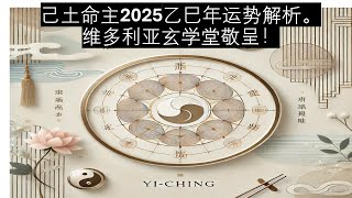 己土命主2025一月丁丑月运势解析