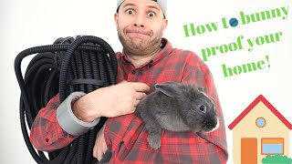 How to bunny proof your home? What can you do to your home to make safe from your rabbit to chew!