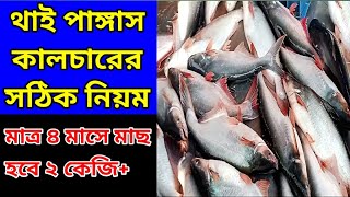 থাই পাঙ্গাস চাষের খুঁটিনাটি-০১ | ৪ মাসে ওজন হবে ২ কেজি+ | Pangas Fish farming | Pangas macher pona