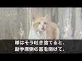 【スカッとする話】70代年金暮らしの私を嫌う長男嫁「介護とか無理！施設に行けｗ」と公園に追い出された→しかし近所の子供が「…私のおばあちゃんになってくれる？」その後の展開がｗ