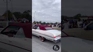 75 Caprice Convertible on Rose Gold Forgiatos #donk #viral #chevy #foryou #video #parati #caprice