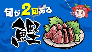 【ゆっくり解説】旬が２回ある！？栄養満点の「カツオ」