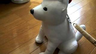 ソフトバンクしゃべる父さん犬（ぬいぐるみ）