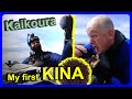 FOUND my first Kina! ✹ Paua N' Kina Kaikoura