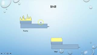 Ultrasound 4 BNR