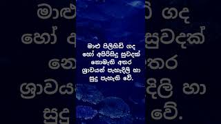 ඔයාගේ එකත් නිරෝගීමත්ද? 😍😍. #psychology  #education #shorts