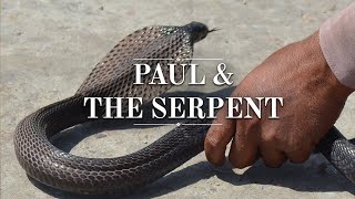 Paul & The Serpent - Acts 28:1-6