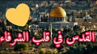 جرحُ لا زال يلتئمُ | فلسطين