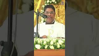 ആരാണ് ഒരു പുരോഹിതൻ. Fr. Jose Thomas O.Carm