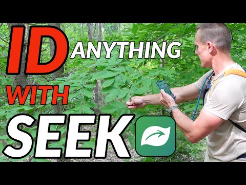 Identify Wildlife with Seek by iNaturalist // Fast and Easy Plant and Animal Species Identification