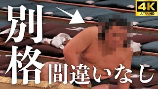 【大相撲 幕下】大の里に負けられない。入門１年で５敗しかしていない力士の春場所全七番。五月場所注目！幕下の熱き闘いの記録【sumo】