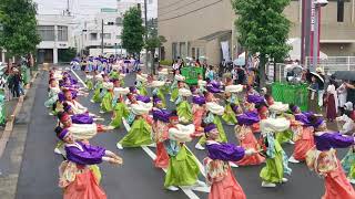 夢舞隊 「夢花暦」 銭形よさこい2019