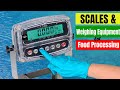 Scales & Weighing Equipment for Food Processing