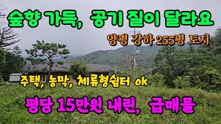 숲향가득 청정지역 땅값 확 내린 양평 토지 땅 부동산 매매 매물 급매 급매매 급매물/강하면