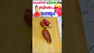 മധുര കിഴങ്ങിന്റെ ആരോഗ്യ ഗുണങ്ങൾ 😋👍 #trending #sweetpotato #benifits #helthtips #healthy