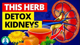 THIS Medicinal Herbal Tea Can Detox Your Kidneys 🍵