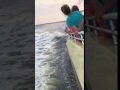 Dolphin wave surfing. Sunset cruise in Panama City Beach