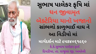 કૅ.કૅ.સુભાષ પાલૅકર કૃષિ ના કૃષક કાળુભાઇ વાઘ ઘઉના વાવૅતર પહૅલા ડીઍપીનૅ બદલૅ ઘનજીવામૃત નાખૅ છૅ ખૅતીમા