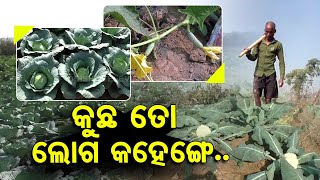 Divyang farmer sets example with successful veggie farming in Jajpur’s Korei