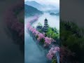 shorts 风景 治愈系风景 唯美意境 healing landscapes beautiful moods landscapes