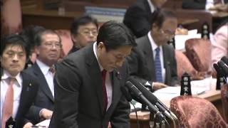 2.27参議院予算委員会（みんな）川田龍平