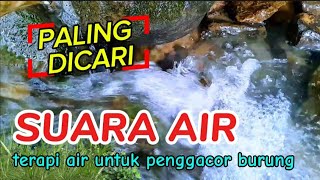 suara air paling dicari untuk penggacor burung, terapi suara air