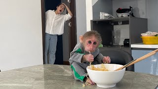 Try not to laugh! Smart Monkey Cubis secretly ate his aunt's noodles