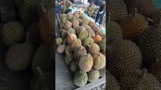 duren Palembang #durian #palembang #buahberduri